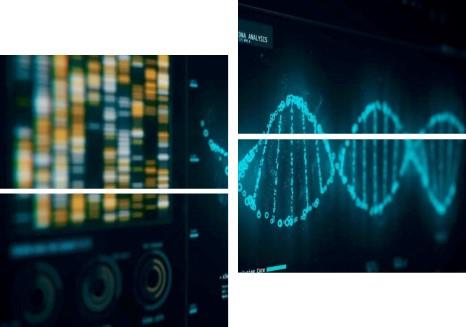 Zenith Adhesive Components Covid-19